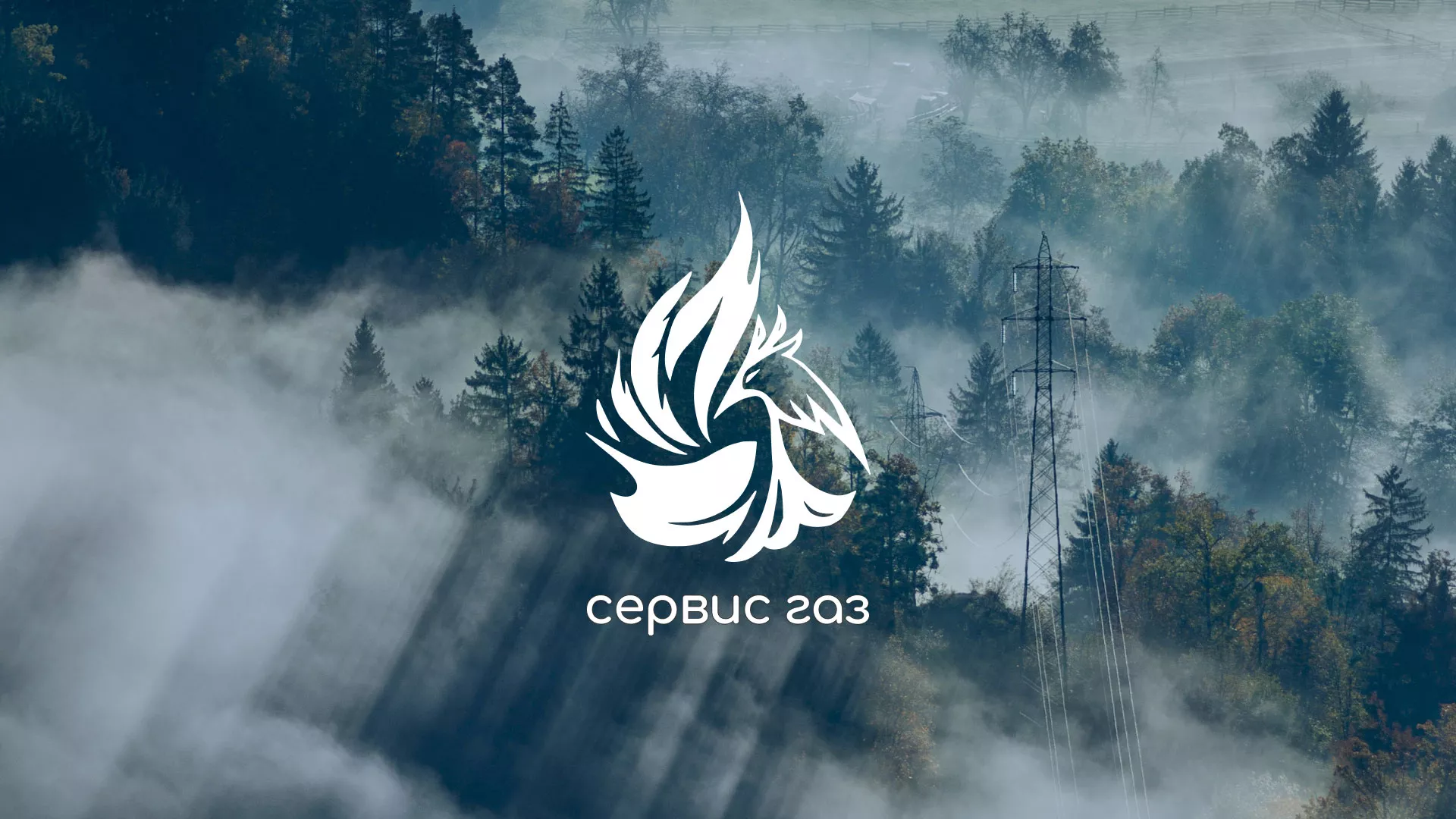 Создание сайта компании «Сервис газ» в Электрогорске