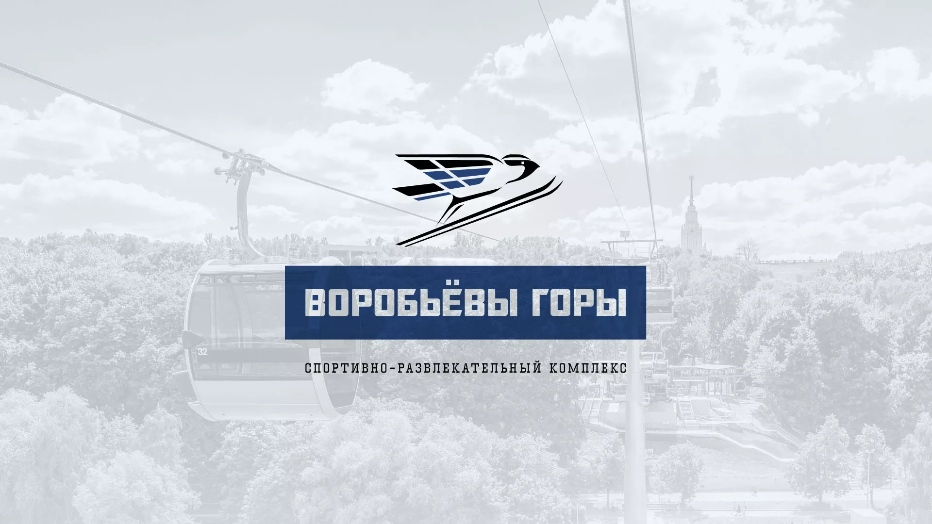 Разработка сайта в Электрогорске для спортивно-развлекательного комплекса «Воробьёвы горы»