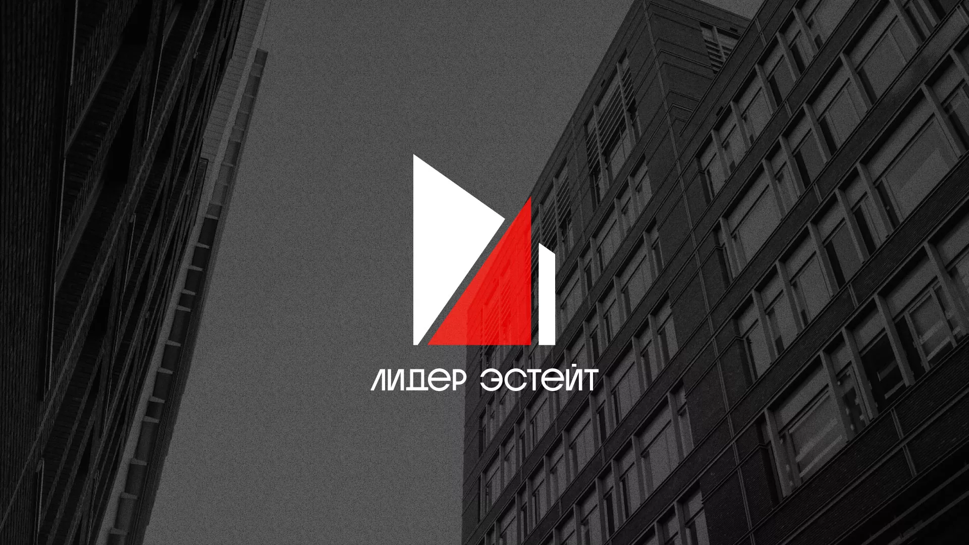 Сделали логотип для агентства недвижимости «Лидер Эстейт» в Электрогорске